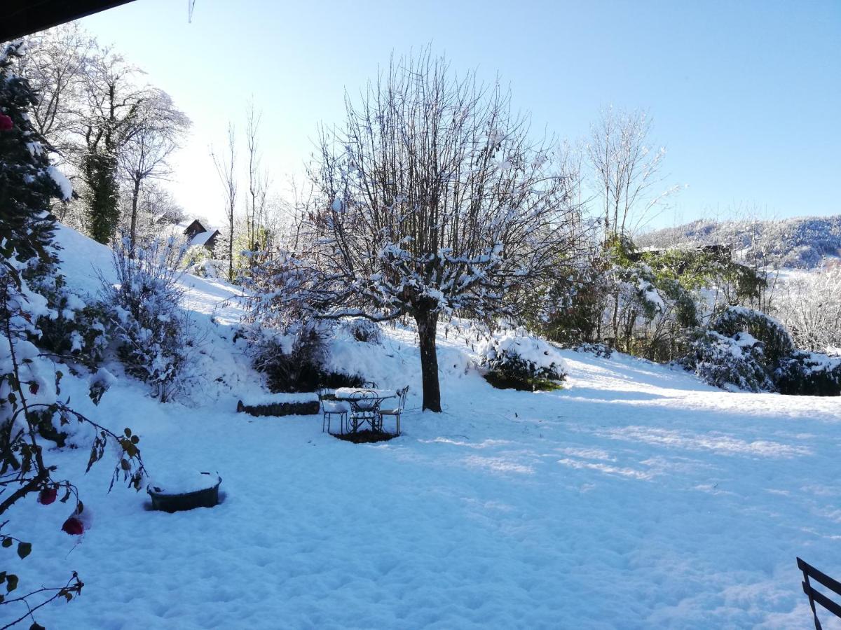 Eco-Logis Mad'In Belledonne Bed & Breakfast Theys Eksteriør bilde